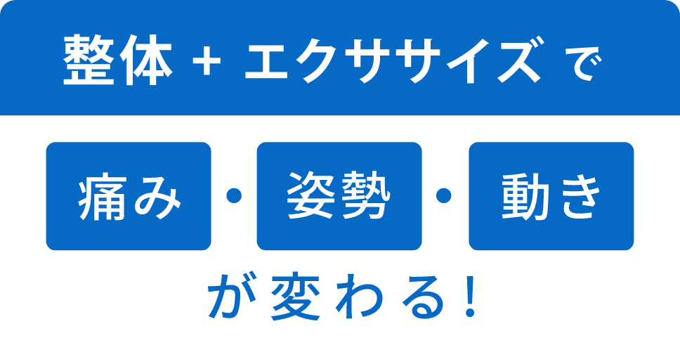 整体+トレーニングで痛み・姿勢・動きが変わる